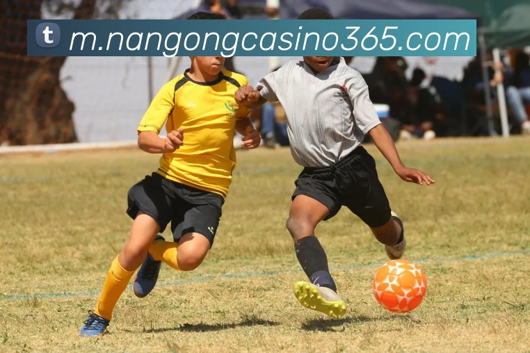 南宫真人娱乐平台生态图